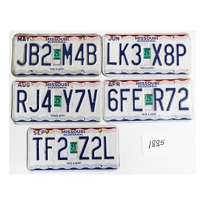 Bulk License Plates Lot #1885